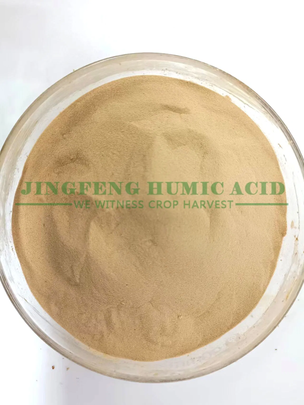 Organic Fertilizer 100% Water Soluble Animal Source Amino Acid Compound Powder