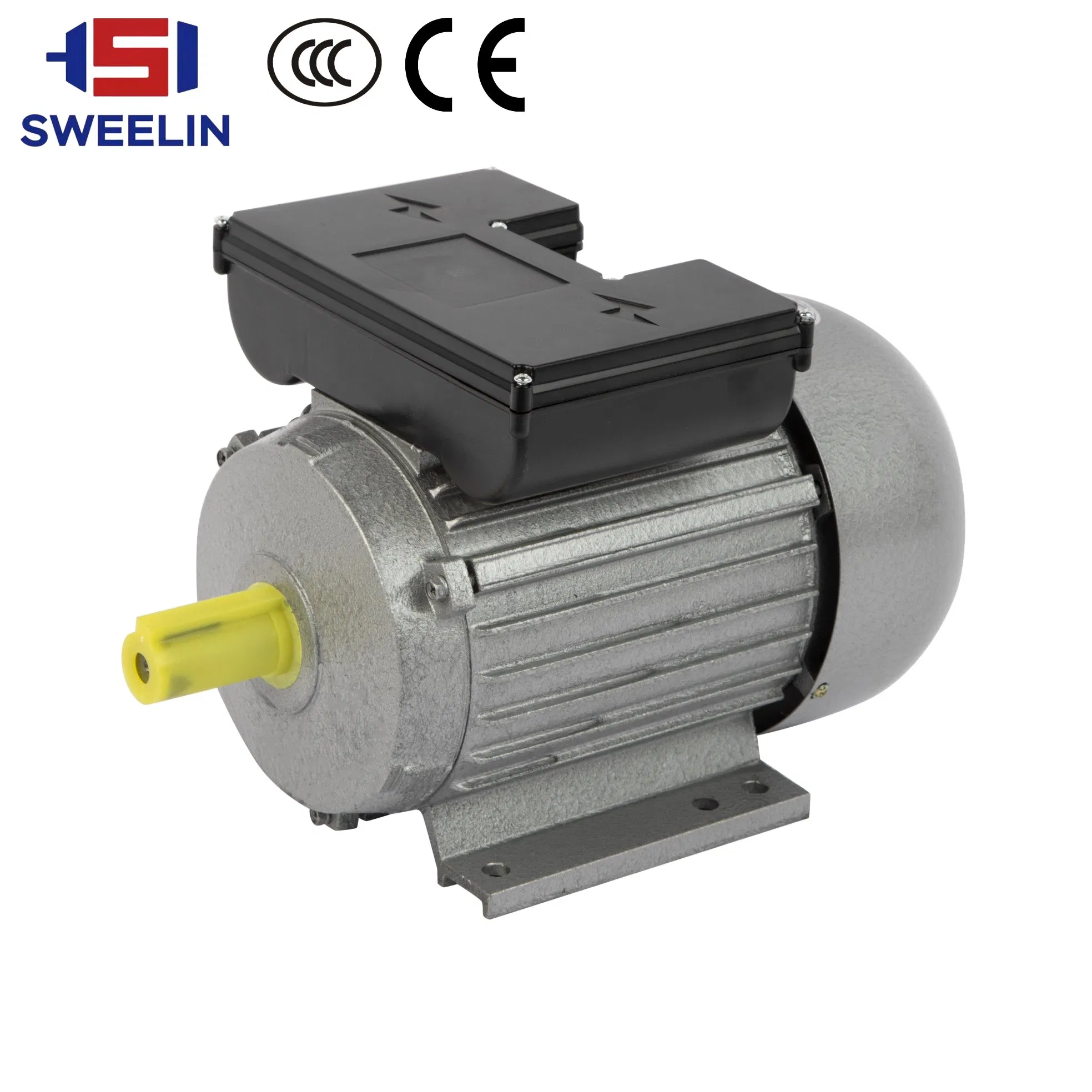 Single-Phase Asynchronous Electric Motor for Seamer Packaging Machinery and Heat Shrink Machine
