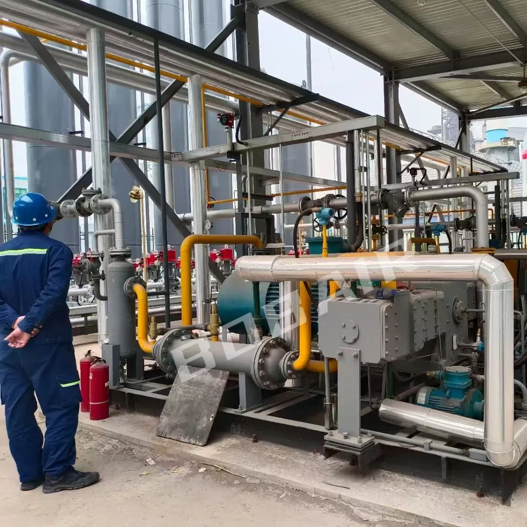 High Pressure Piston Reciprocating Industrial Special Gas Compressor for Petrochemical