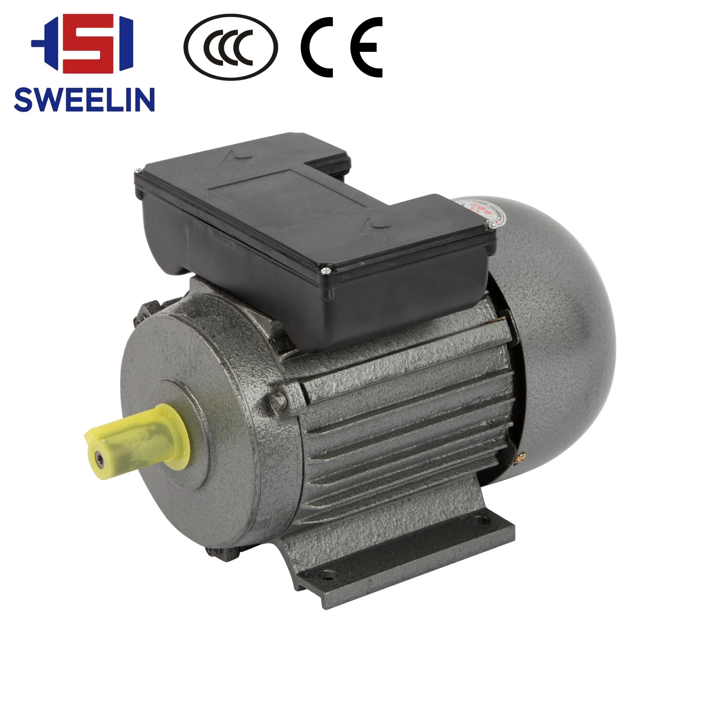 Single-Phase Asynchronous Motor Dual Capacitor Vacuum Pump Motor Meat Grinder Motor