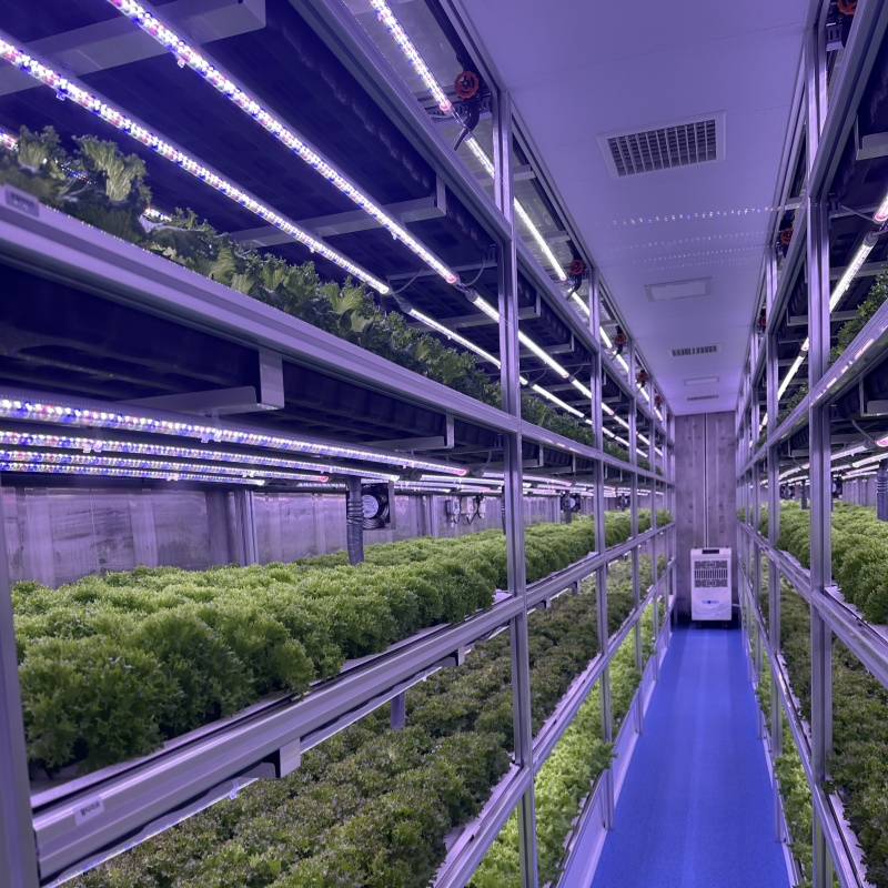 Full Spectrum LED Supplementary Lights for Container Plant Factory