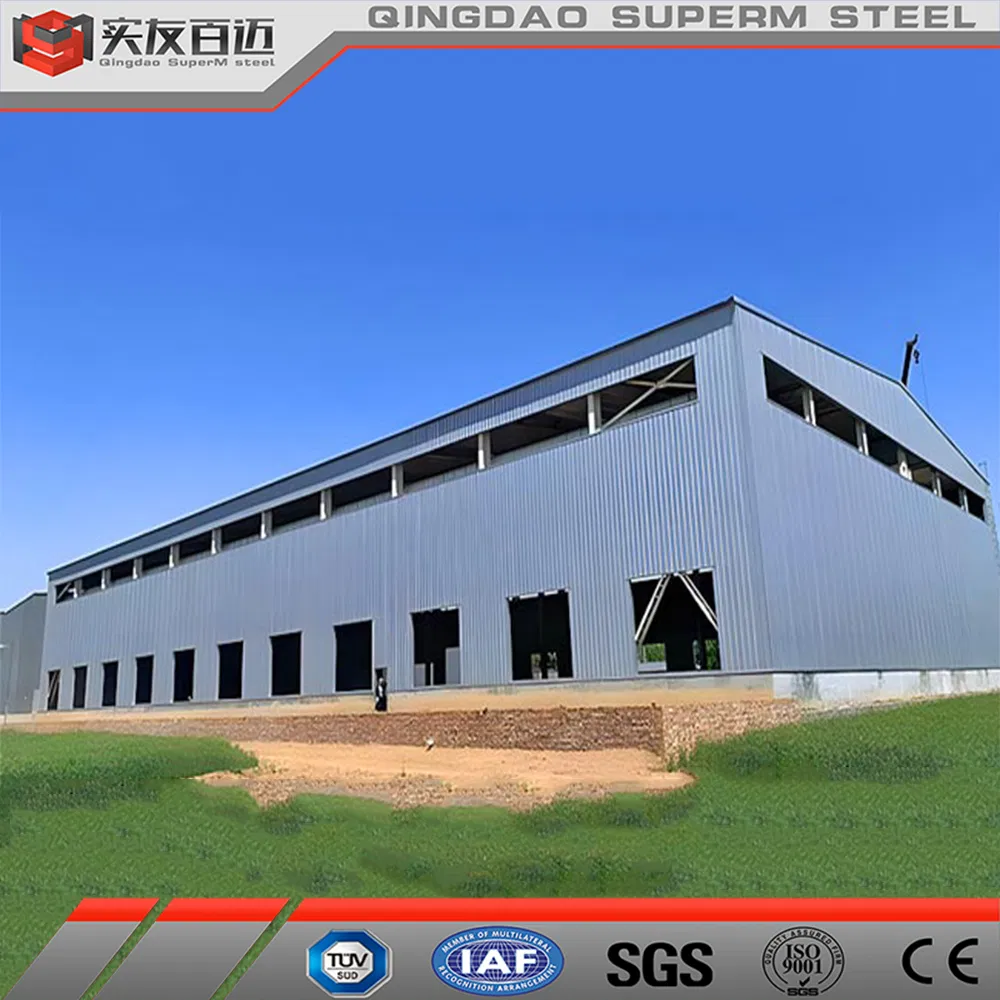 Prefabricated Steel Structure Building Quick Installation Easy Assembly 30*15*6m Warehouse