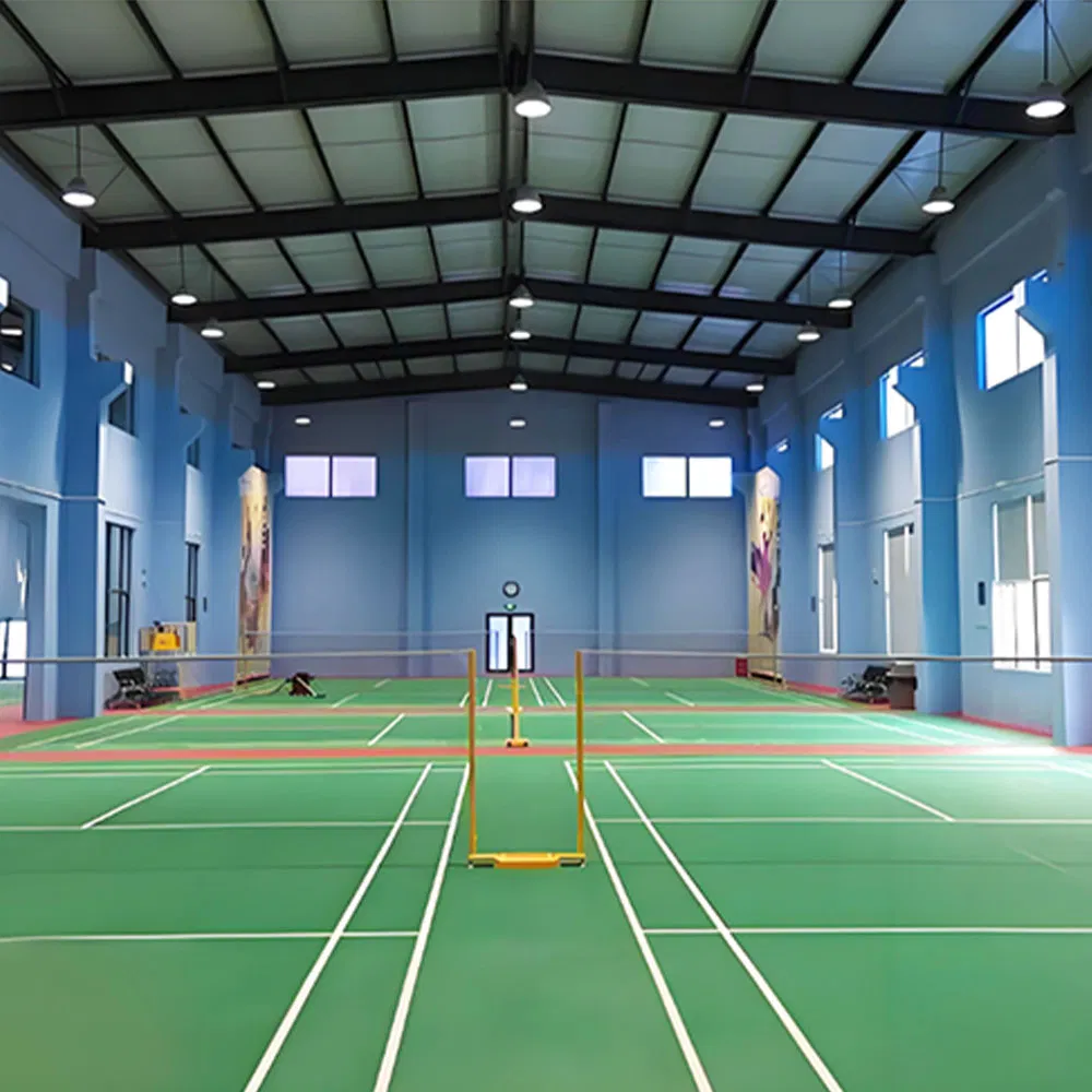 Custom Large Span Prefabricated Steel Structure Indoor Sports Gym Warehouse