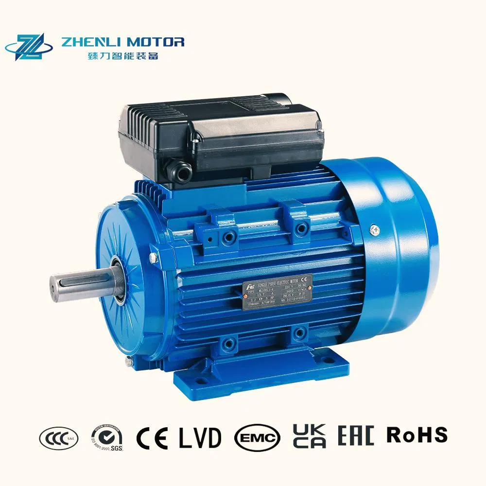 Motore a induzione monofase serie ML a basso rumore, funzionamento silenzioso, carcassa in alluminio, motore CA 1400 giri/min 2800 giri/min
