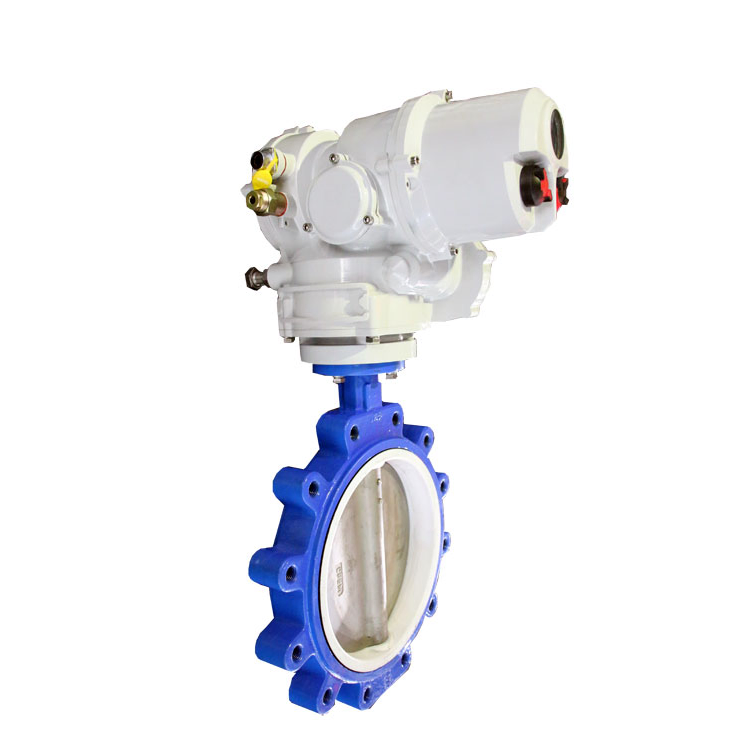Vanne papillon électrique motorisée haute performance Modbus Hart