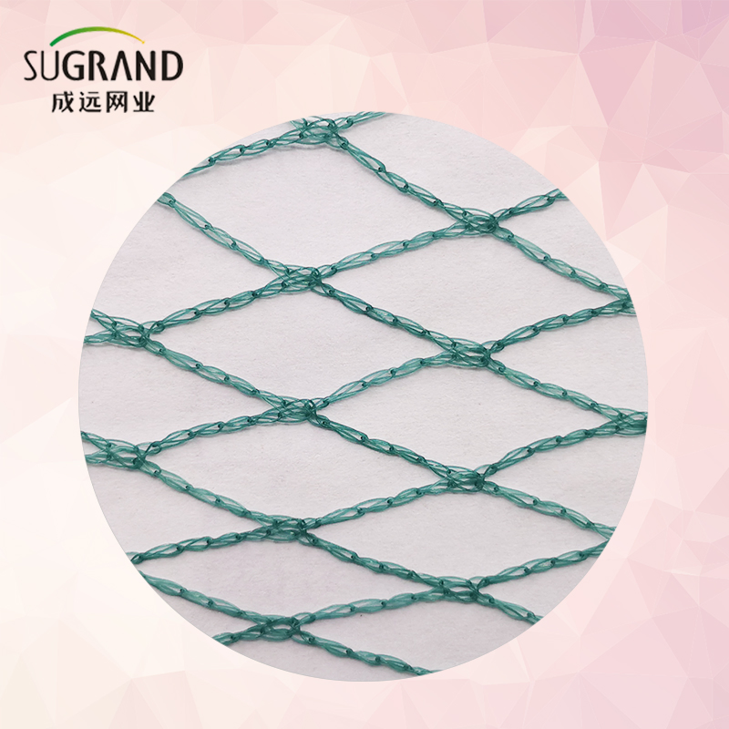 High Strength Crop Protection Bird Catching Net