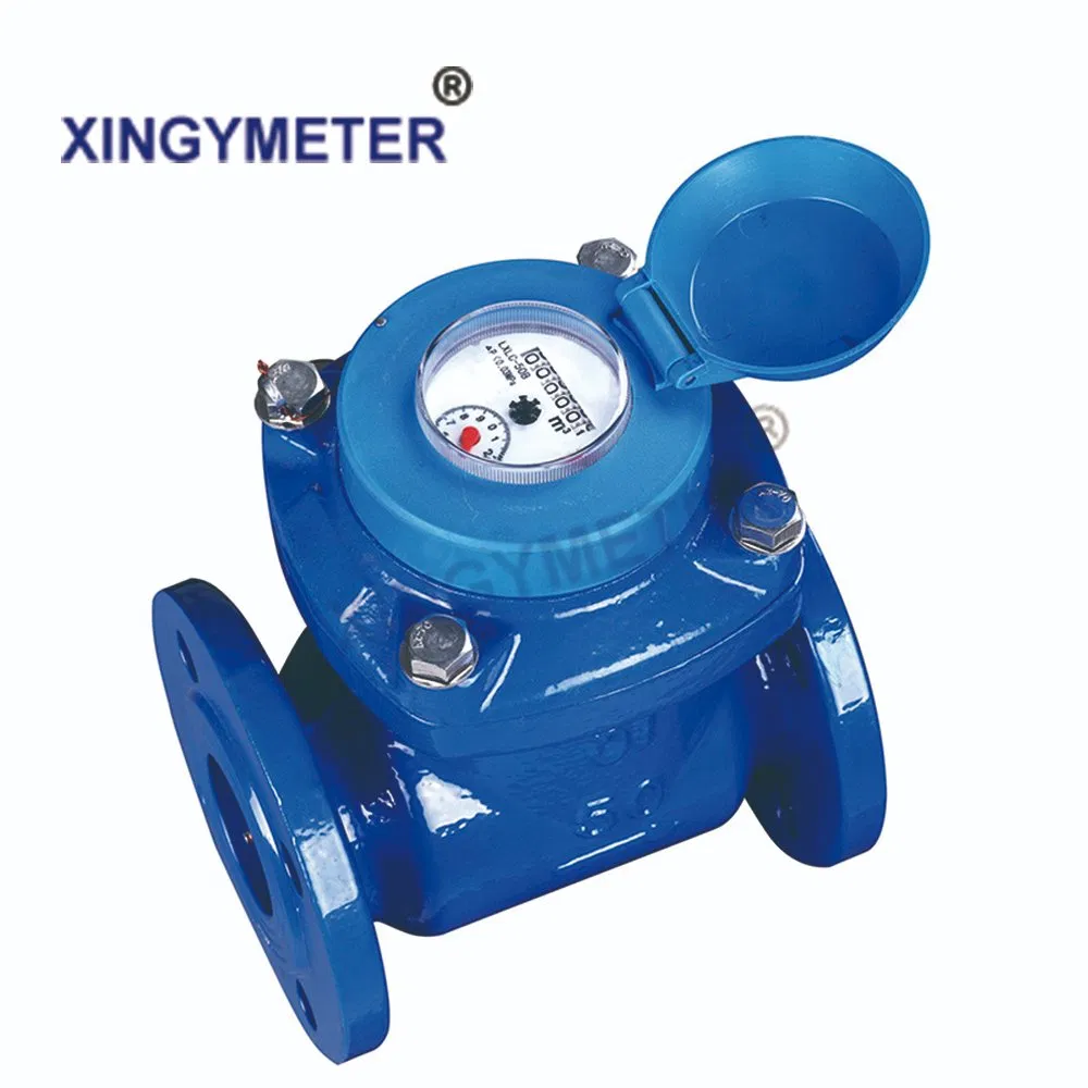 Woltman Water Meter for Accurate Flow Measurement