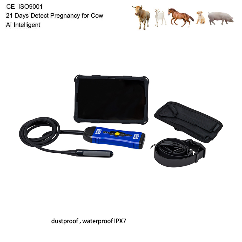 Bxl-S300 Wireless Portable Veterinary Color Doppler Ultrasound Machine Scanner for Horse Cattle Cow CE ISO Certified