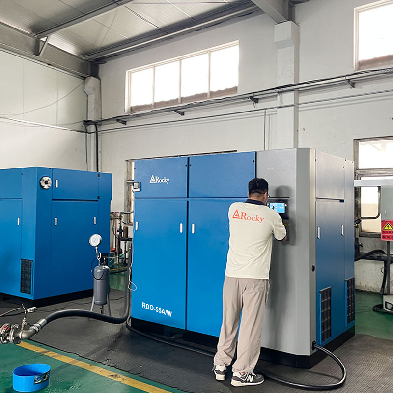 10 Bar Compressore ad Aria a Vite Esente da Olio a Secco Senza Olio Compressore a Vite Rdo-45A/W