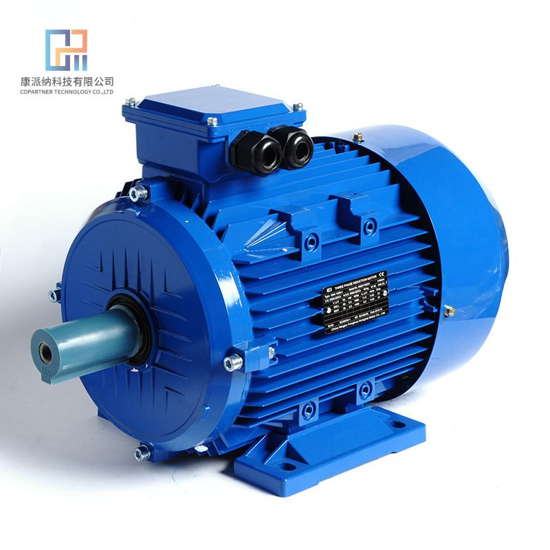 Anp Series GOST Three-Phase Industrial Motor for Russian Territory