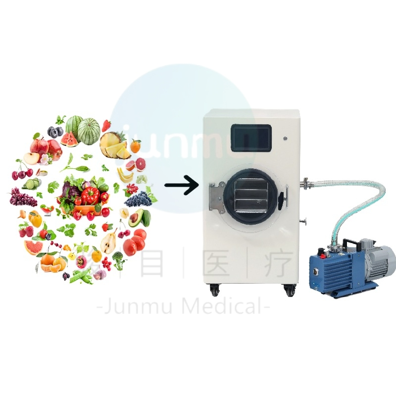 Commercial Household Food Vacuum Freeze Dryer with 20-40kg Capacity