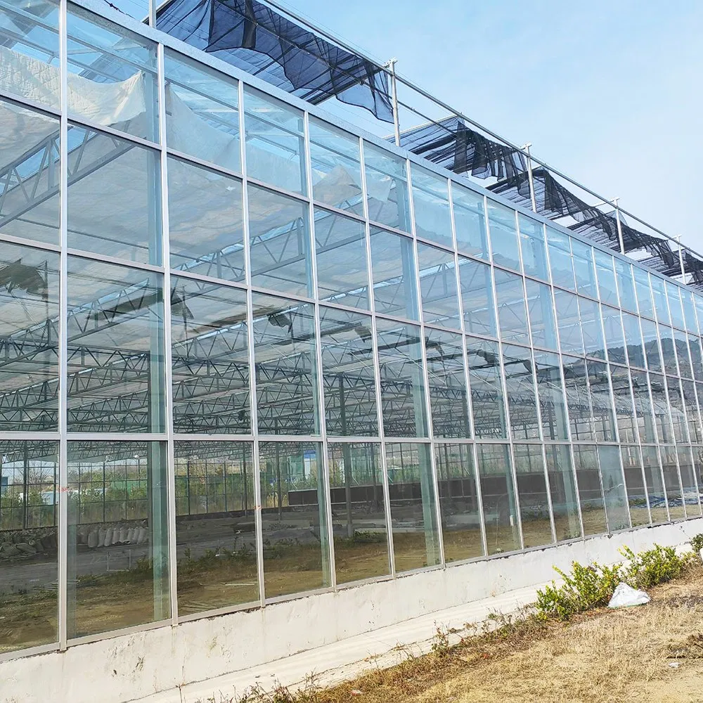 Customized Glass Greenhouse for Strawberry and Leafy Green Vegetable Growing Projects