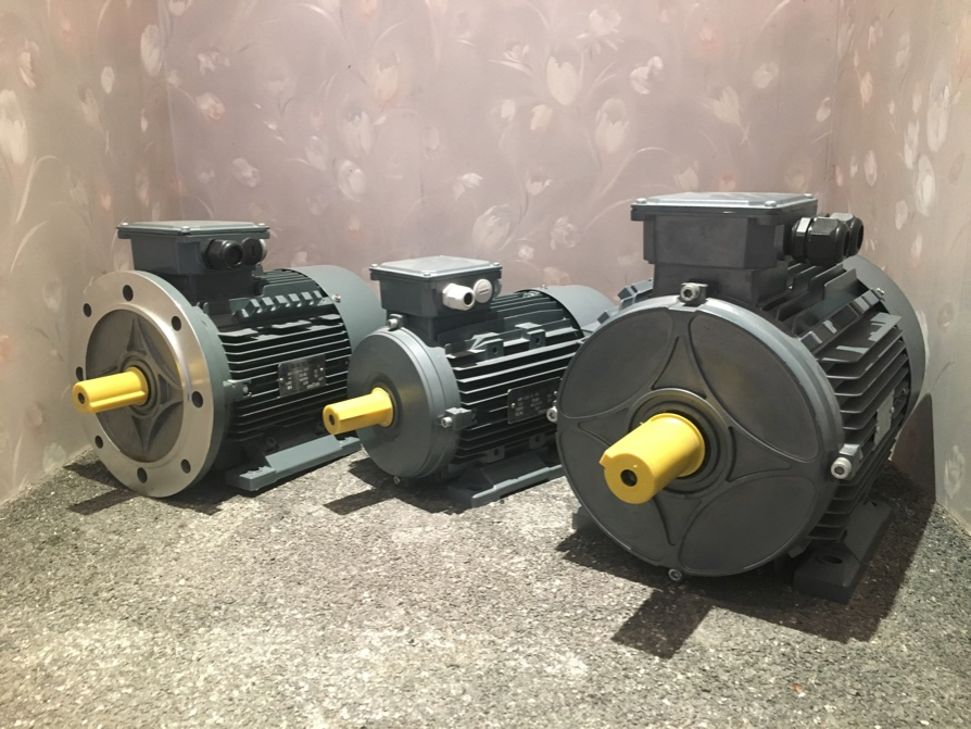 GOST Aluminum Electric Asynchronous Motor