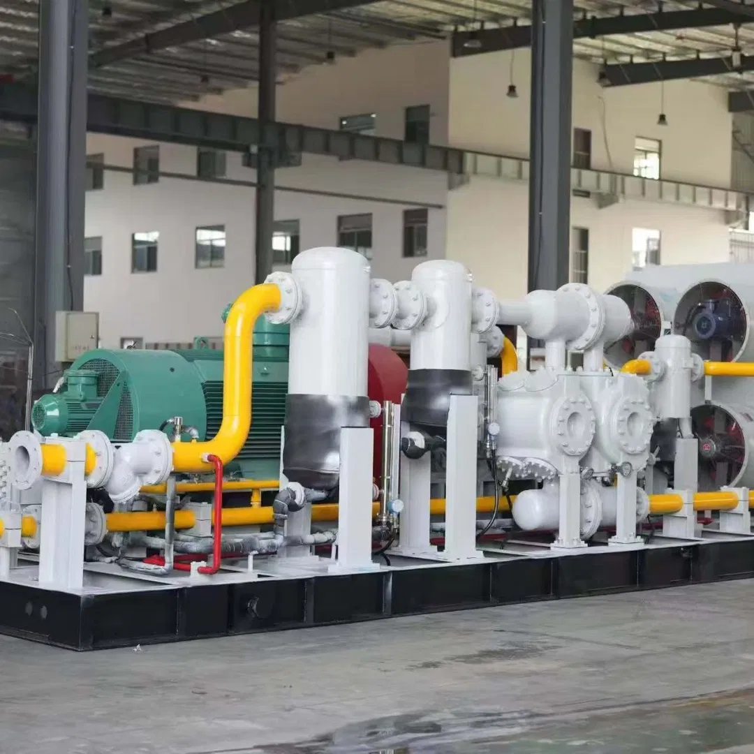 Special Piston Type Oil-Free Mixed Gas Compressor Low Oil Reciprocating Air Cooled Gas Compressor with Engine Core Components