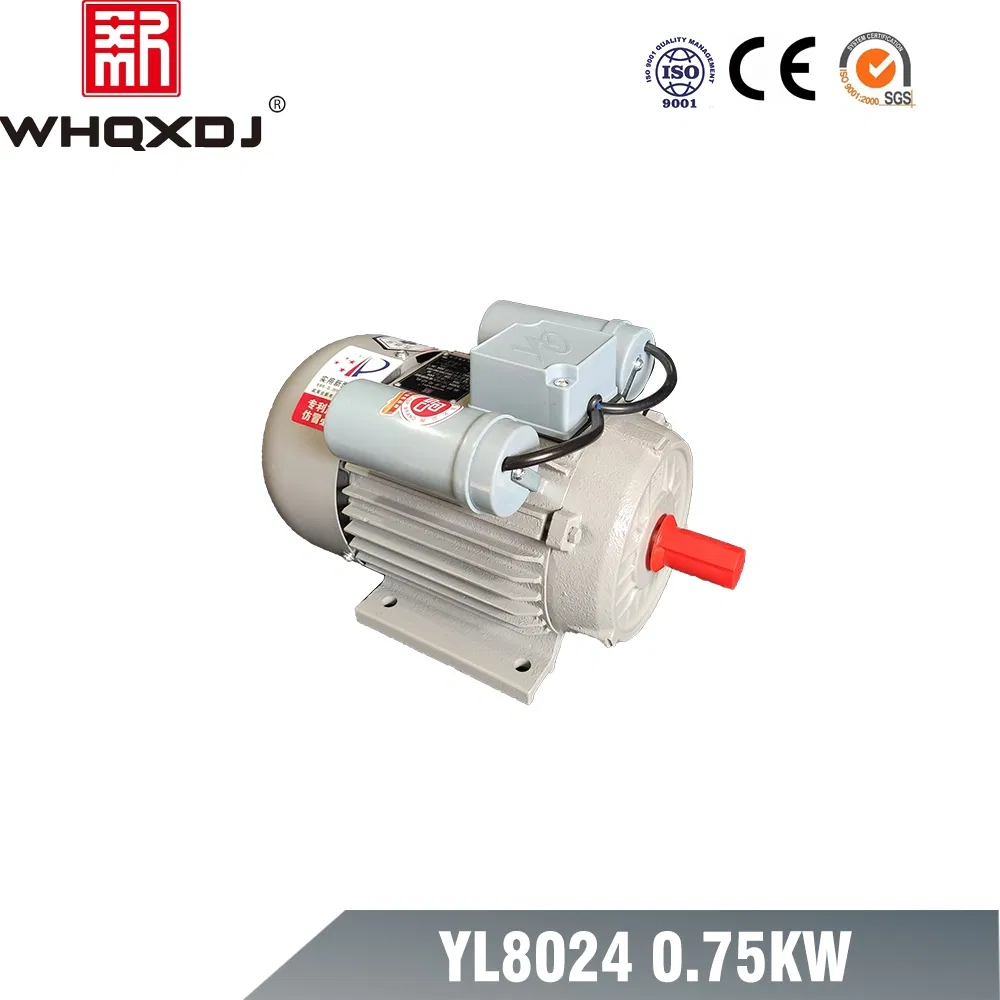 Motore monofase da 1 HP con avviamento a condensatore 220V, coppia elevata per pompe e ventilatori, grado di protezione IP55