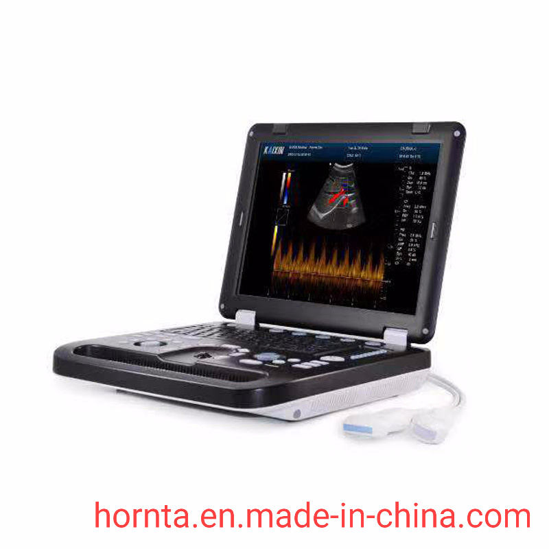 DCU50 Color Doppler B-Ultrasound Diagnostic Equipment for Horse Livestock