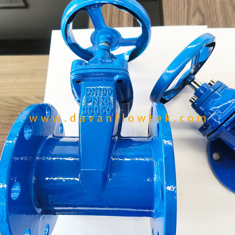 Resilient Flanged Cast Iron Gate Valve