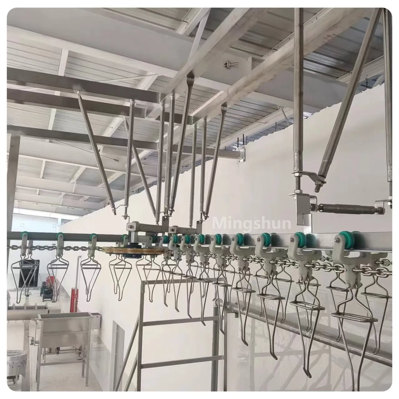 Linea di macellazione di polli ad alta efficienza - 500-10000bph, acciaio inossidabile 304