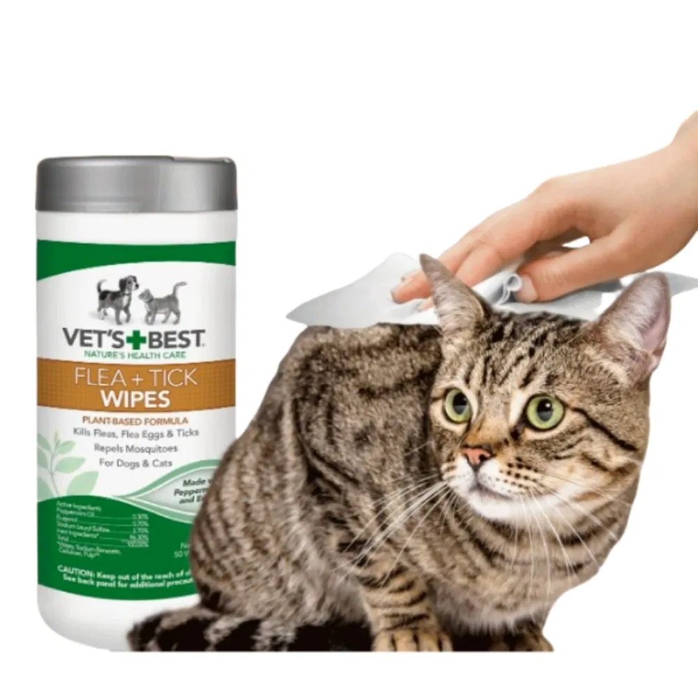Dog Refreshing Wipes 100% Biodegradable Pet Care Wet Wipes for Body Eyes and Butt