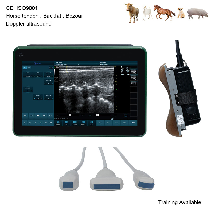 Bxl-Dz20 Equine Horse Tendon Portable Veterinary Color Doppler Sonogram Ultrasound Machine Scanner CE ISO Certified