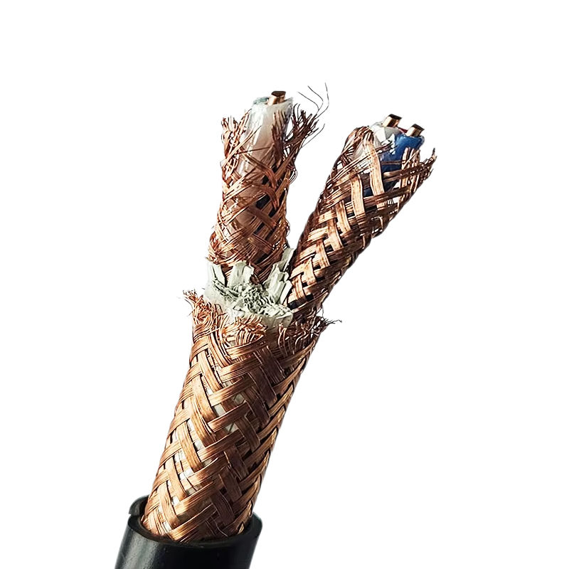 Cavo per computer DJYPVP/DJYP con isolamento in polietilene, doppino intrecciato, schermatura in treccia di filo di rame, guaina in PVC e armatura in filo d'acciaio