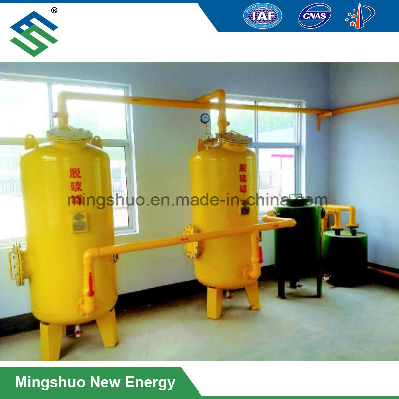 Natural Gas and Biogas Purify System