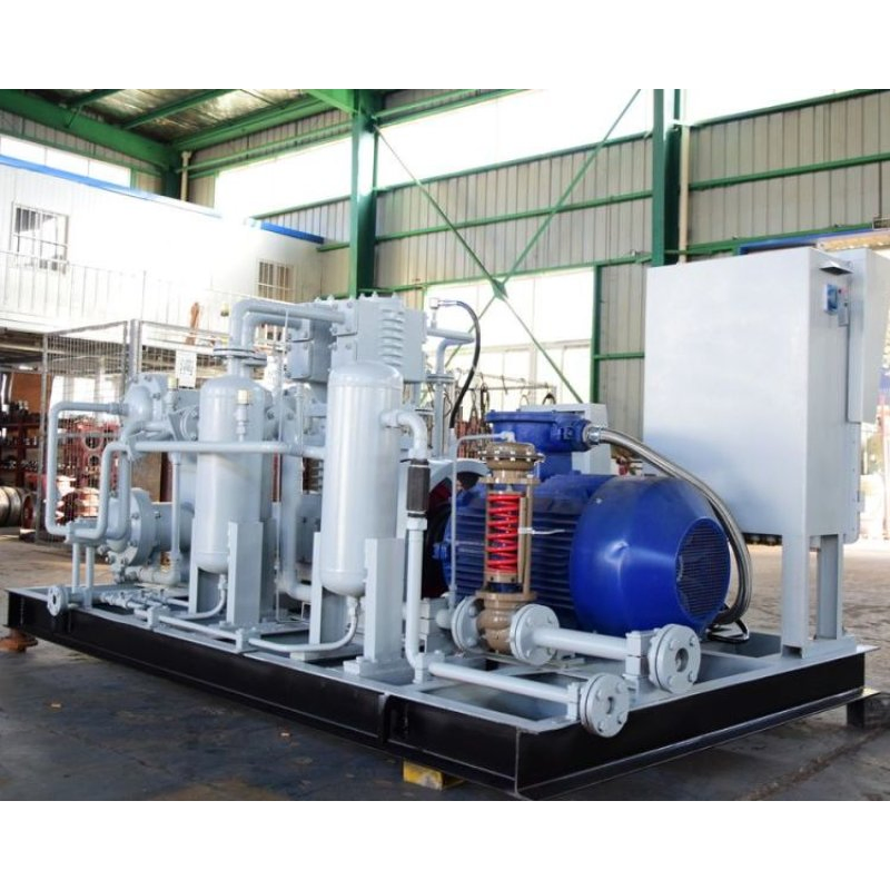High Pressure Natural Gas Compressor Oil-Free Air-Cooled CNG Compressor