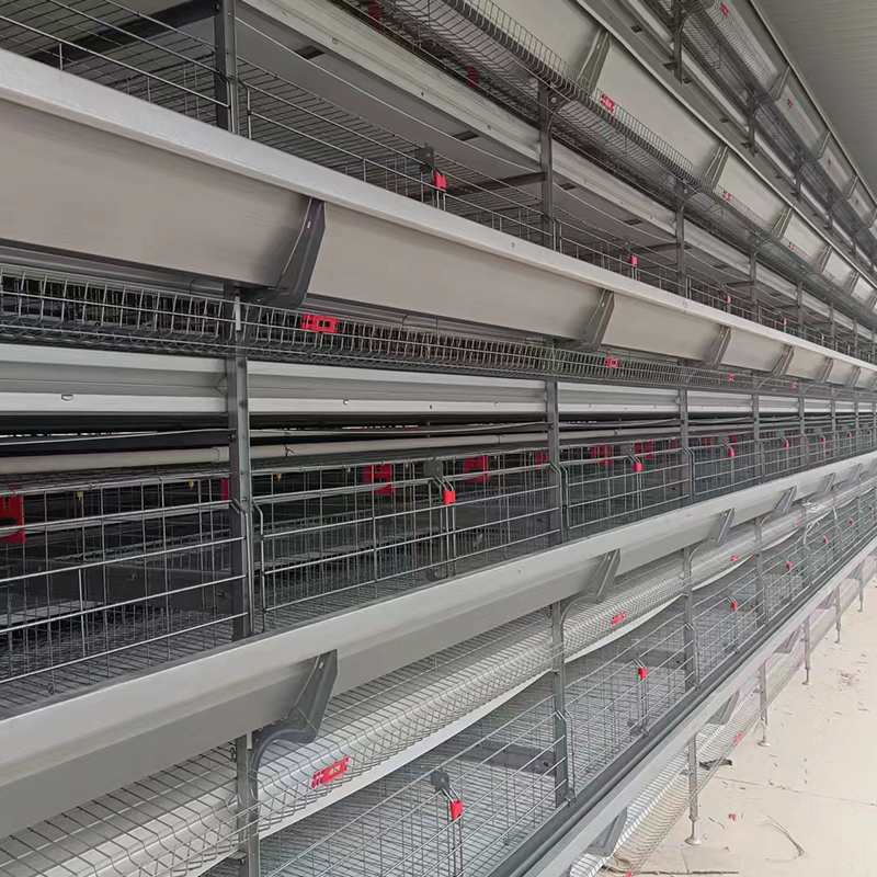 Hot-DIP Galvanized H Type Poultry Equipment Chicken Cage