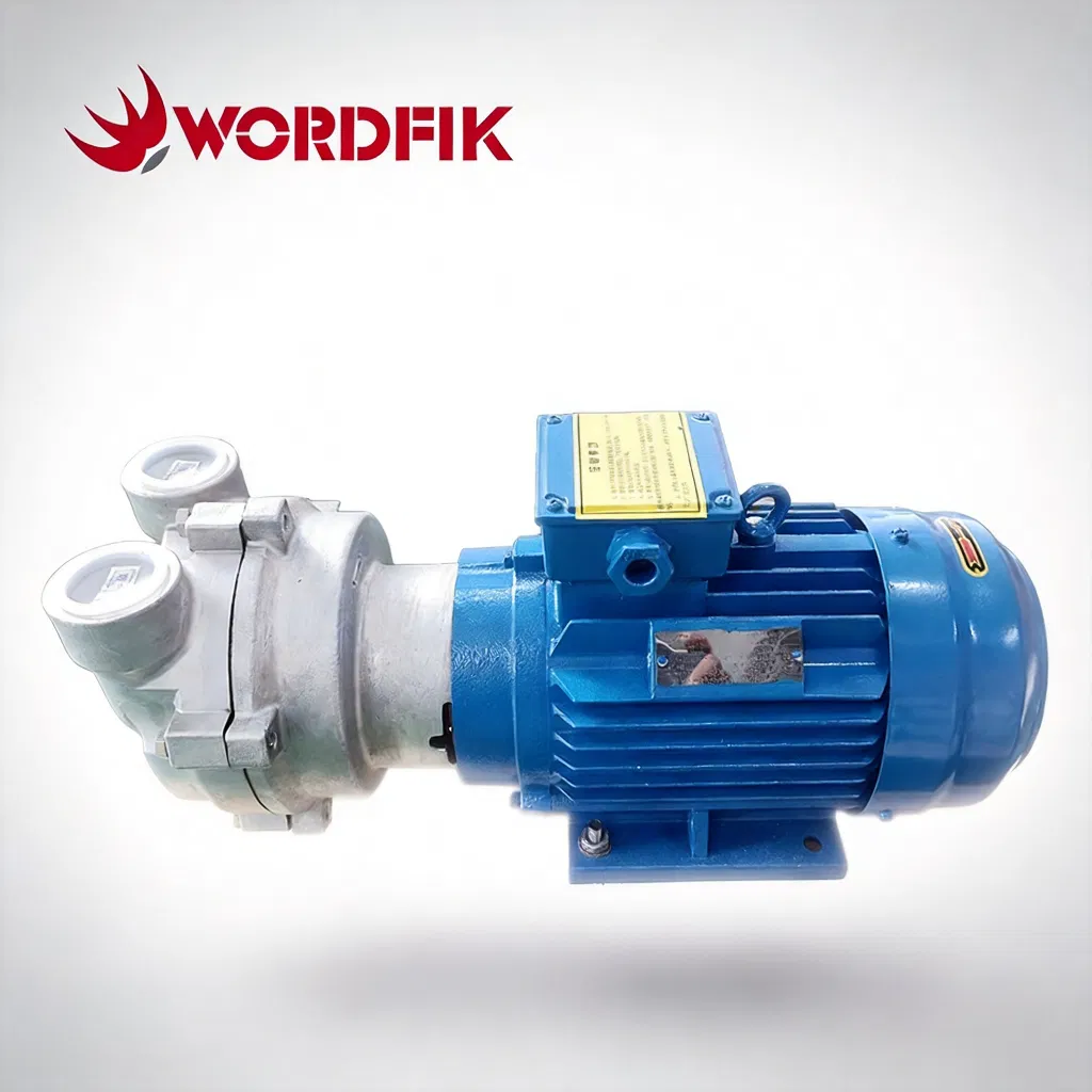 Wordfik Brand 2BV5131 Liquid Ring Vacuum Pump for Recovery
