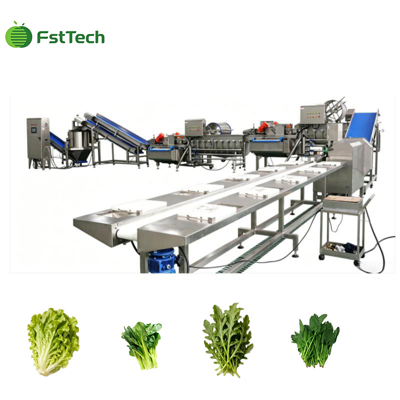 Linea completa di lavorazione dell'insalata con doppio lavaggio a vortice