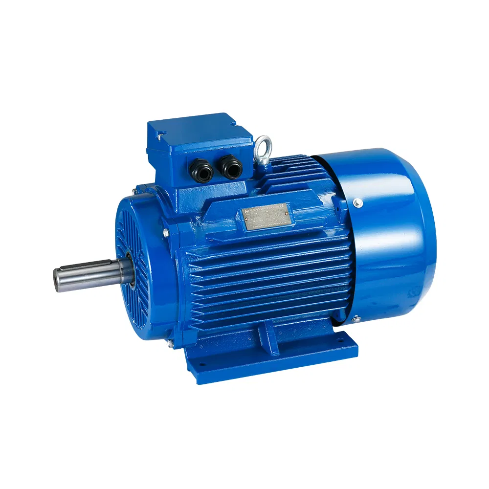 CCC CE SGS IP55 22kw 30kw 37kw 45kw 55kw 75kw 910rpm 3000rpm 1000rpm Motore elettrico AC