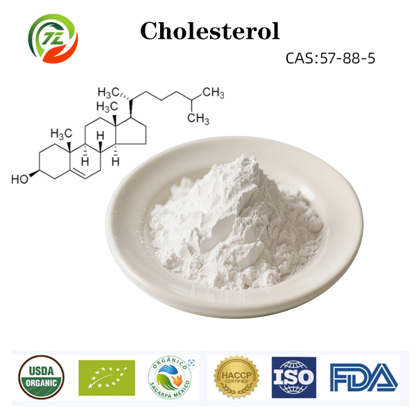 99% Polvere di colesterolo CAS 57-88-5 Intermedio chimico