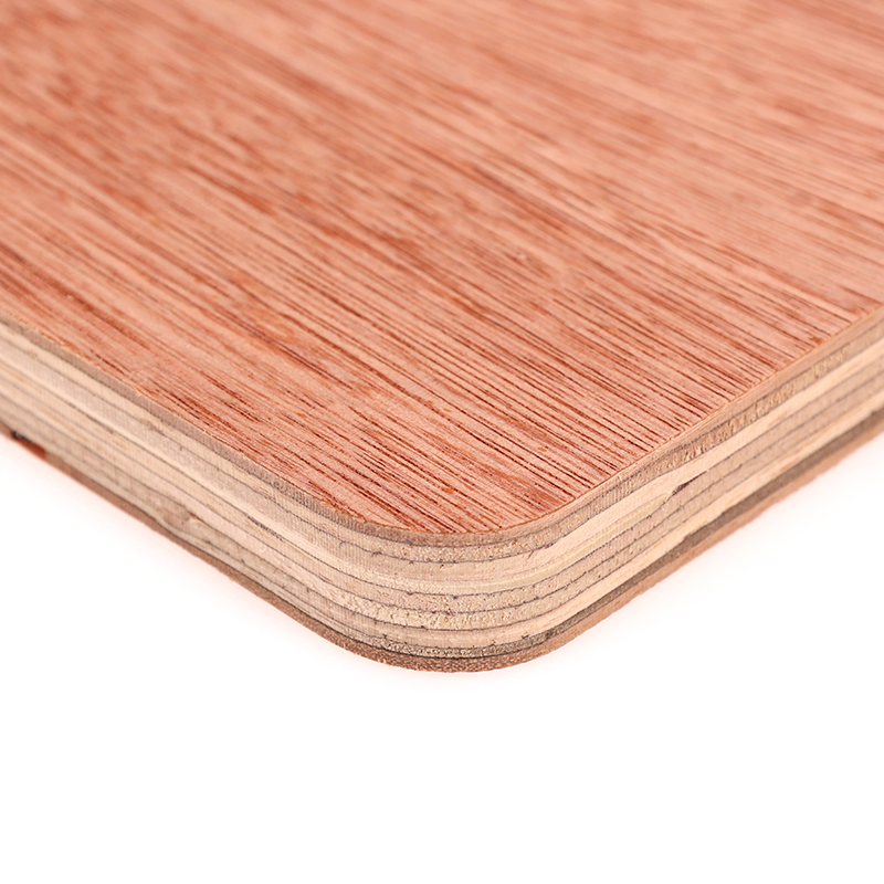 1220*2440mm Plywood Commerciale Bintangor di Buona Qualità