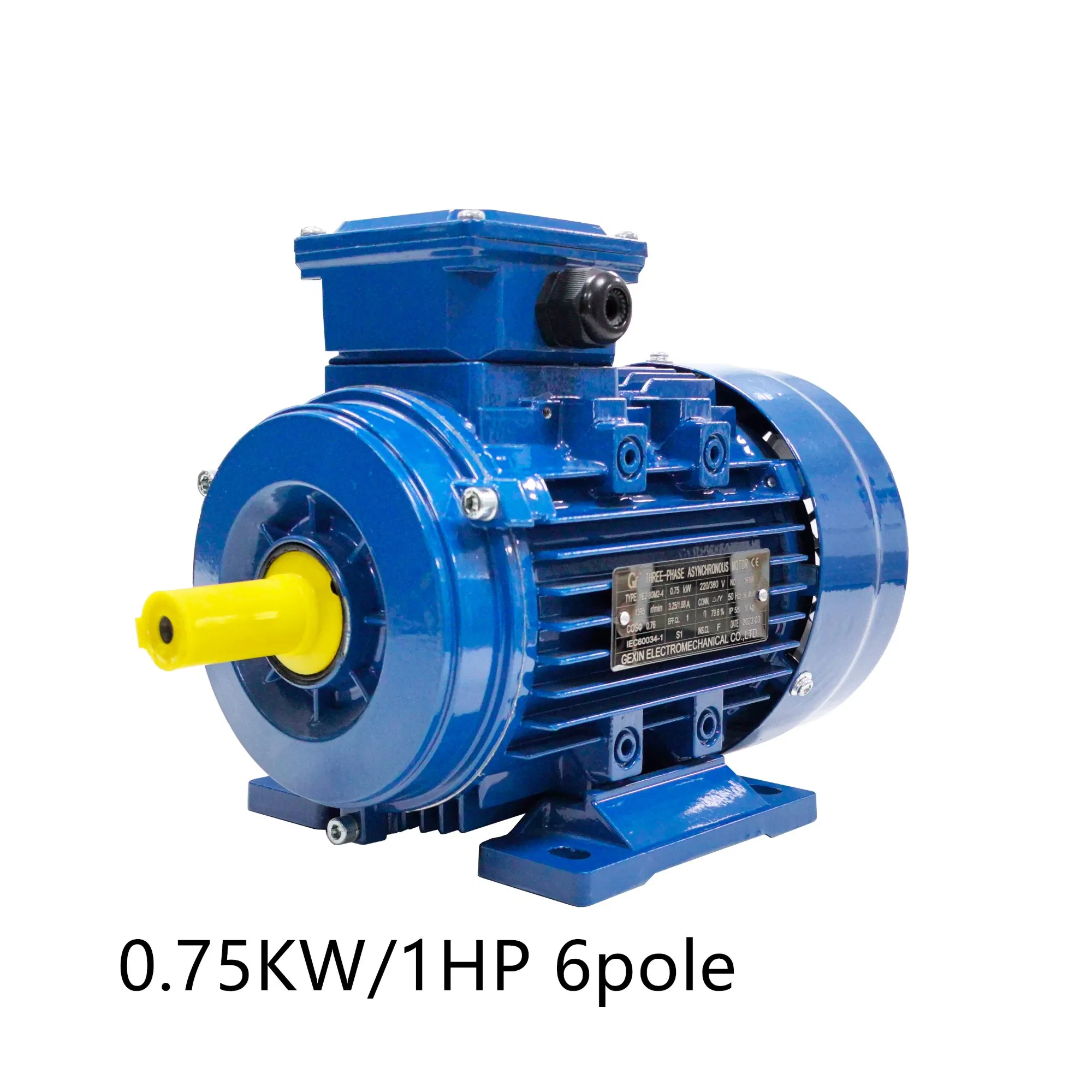 1HP 0,75 kW 6 pôles 950 tr/min Moteur électrique asynchrone à cage d'écureuil triphasé