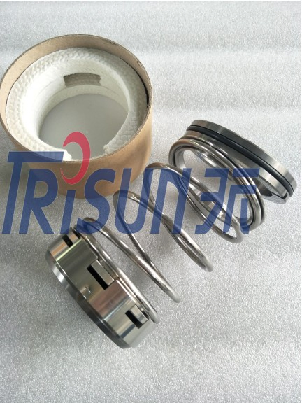 2.500 Kit Tenuta Meccanica 22451-1 per Pompe Mcm250, Mission 2500