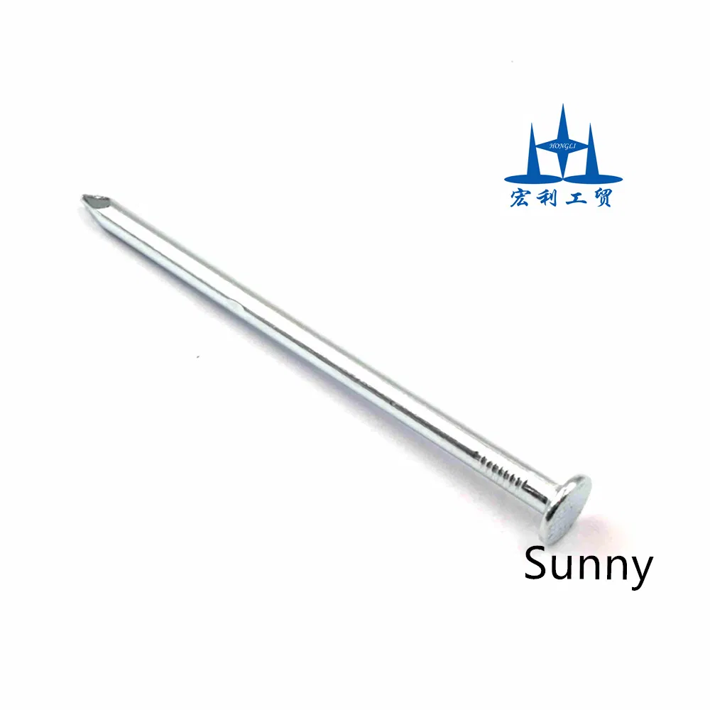 20d Electro Galvanized Steel Common Wire Nails, 5kg Box Outdoor Hot Dipped Galvanized Iron Wire Nails