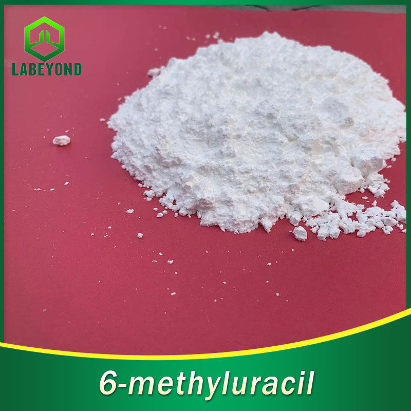 High Purity 99% 6-Methyluracil CAS 626-48-2