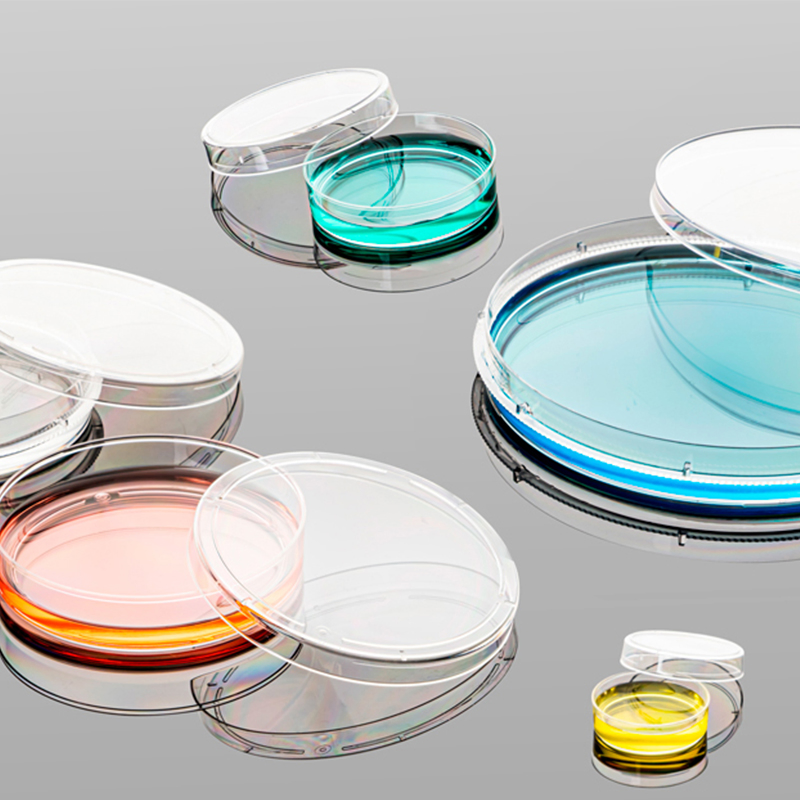 35mm 60mm 100mm TC Treated Laboratory Consumable Transparent Petri Cell Culture Dish