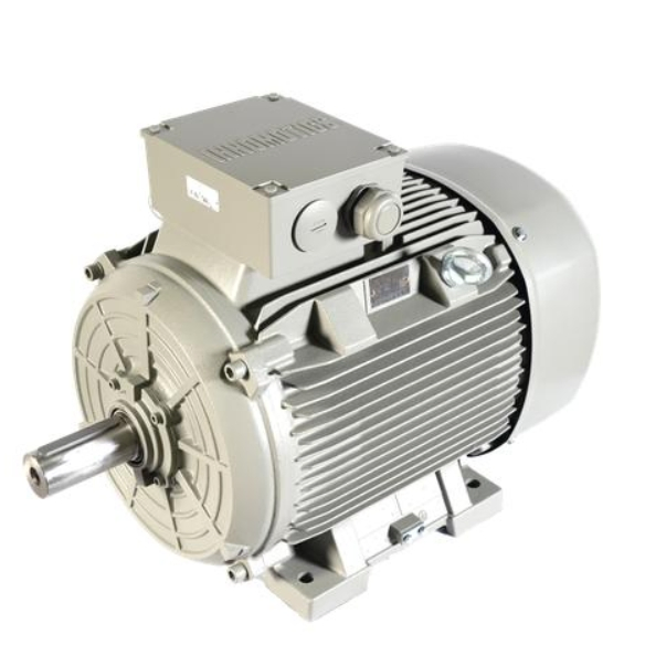 Innomotics Siemens 1FZ8005 IE5 Low-Voltage Permanent Magnet Motors 2 Poles 4 Poles