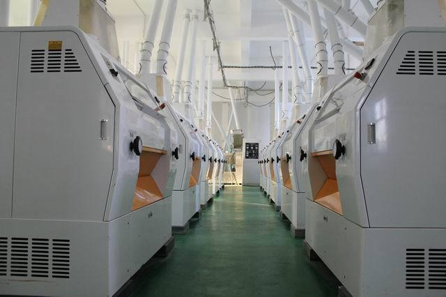 Moderne Maismühle für hochwertige Vermahlung