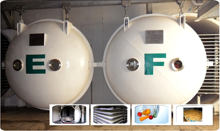 LMF-10 100kg Conductive Freeze Dryer for Food