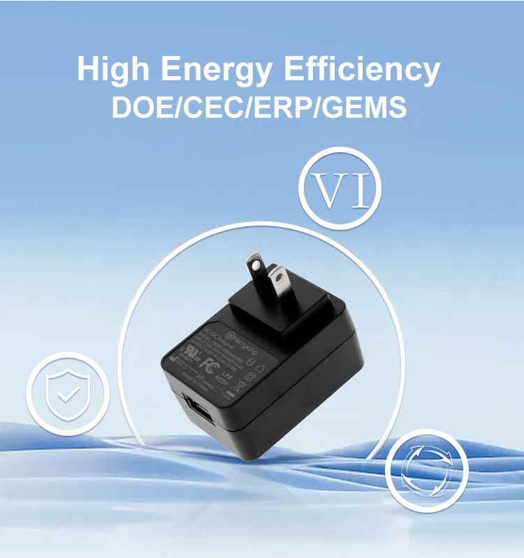 OEM En 60601 Certified 5V2a 6V 1A 12V 1A Mopp Medical Grade AC DC Adapters for Hospital Equipment