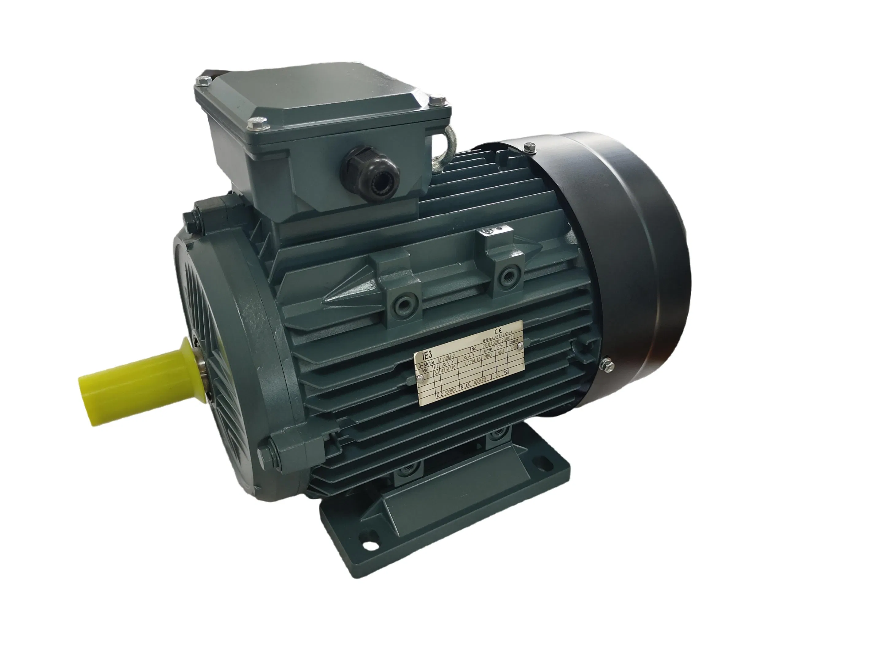 Aluminum Housing Electric Motor, Feet Removable, High Efficiency
