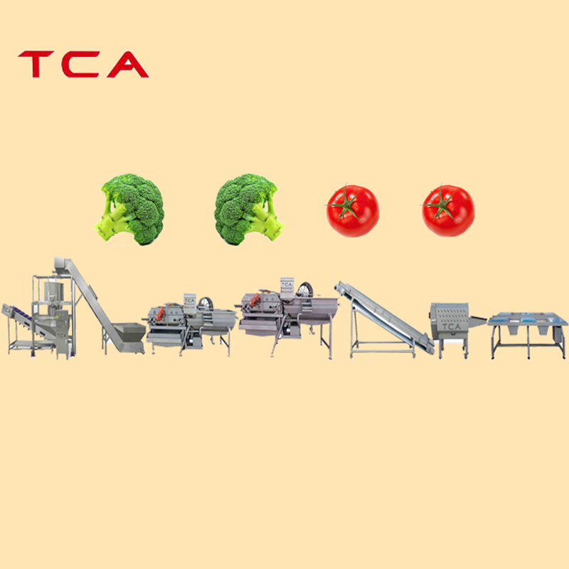 Automatic Frozen Vegetable and Fruits Cutting Blanching Processing Line