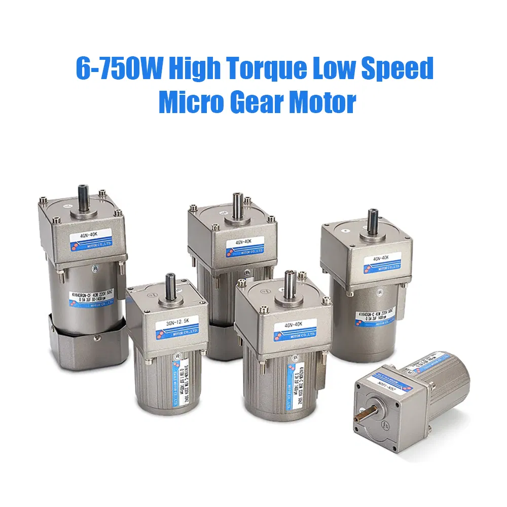 120W High Torque Single Phase Electric AC Gear Motor with Gearbox