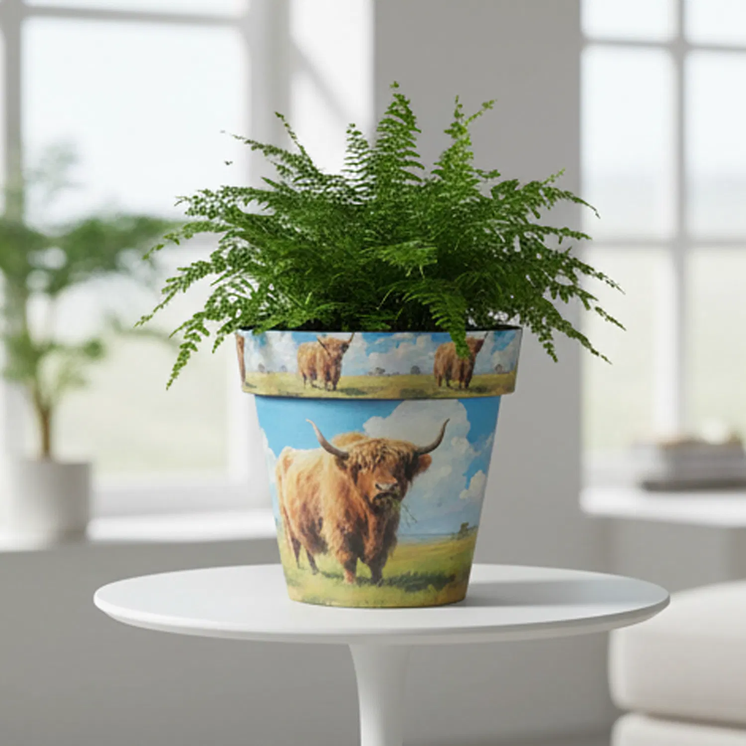 Colorful Decorative Flower Pot for Home and Garden Decor