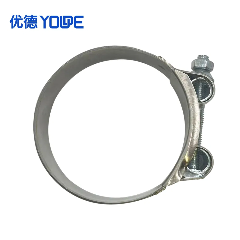 W2 European Type Heavy Duty Hose Clamp, 201/304 Stainless Steel Robust Auto Hose Clamp