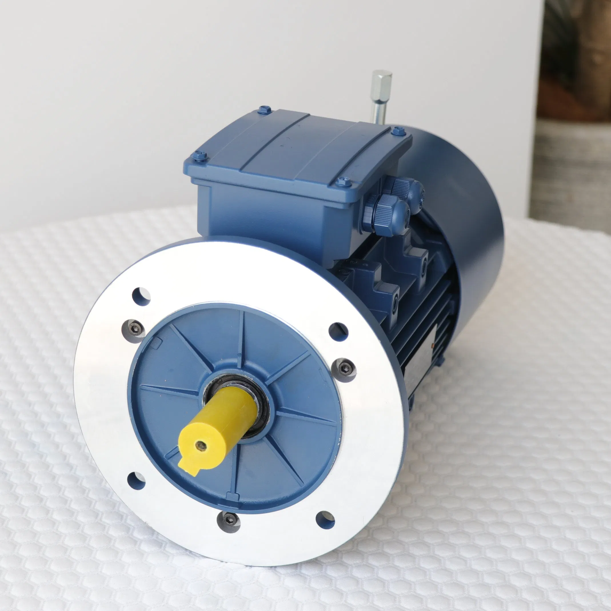 Osjd Series Aluminum Casing DC Brake Three-Phase Asynchronous Motor
