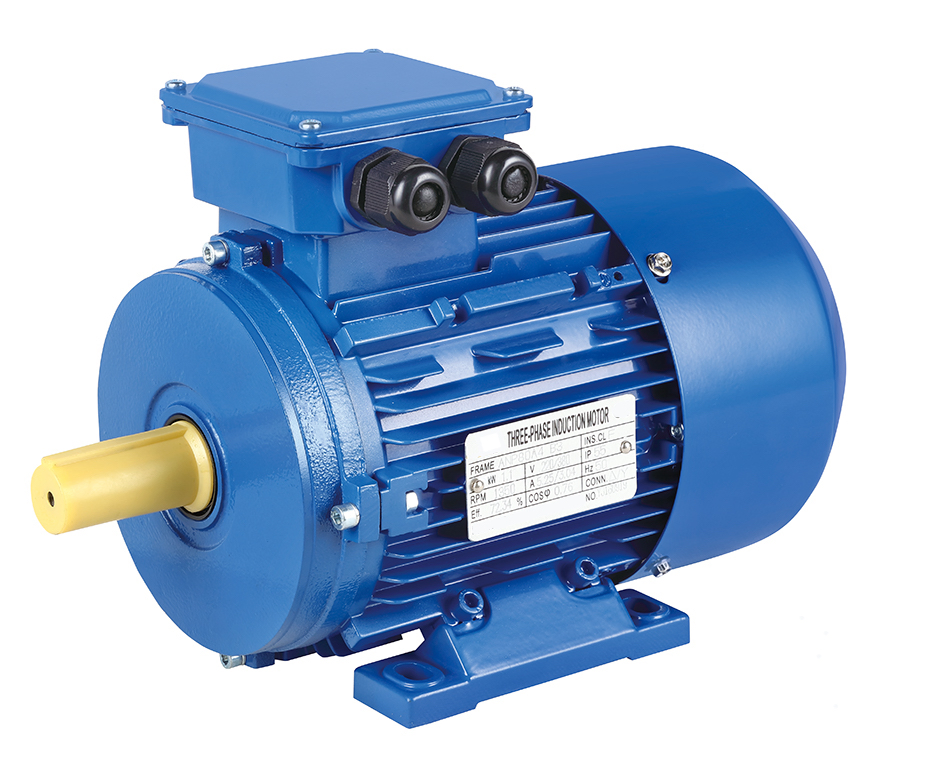 IEC Aluminum Electric Motor for Processing Machinery