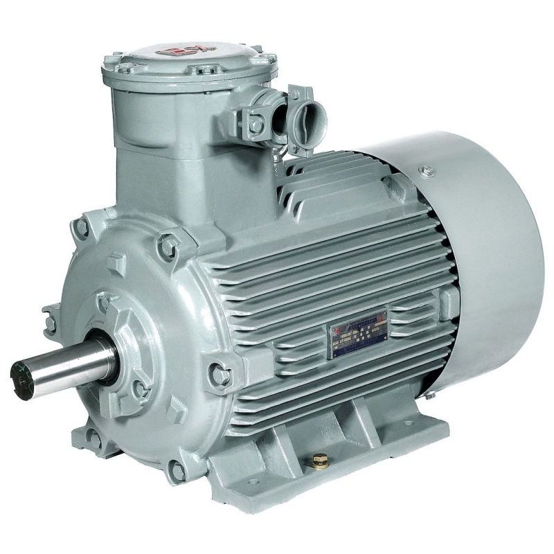 Three Phase Explosion Proof Electric Motor